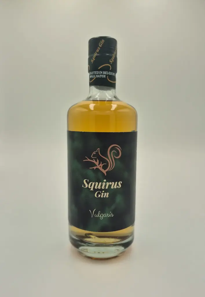 Squirus Gin - Vulgaris